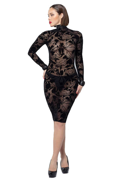 Cougar Mesh Dress Patrice Catanzaro