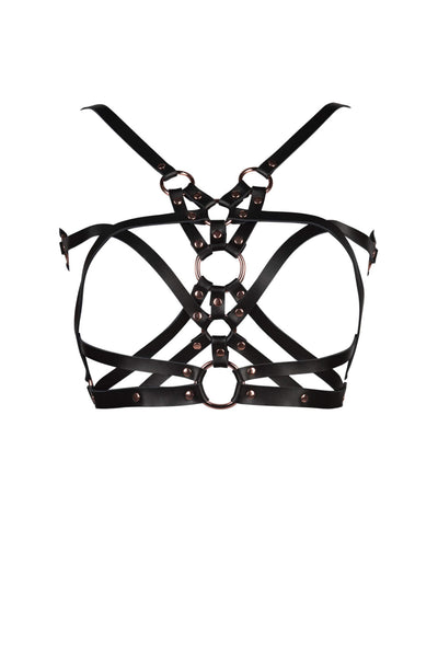 Seduction Leather Harness VoyeurX