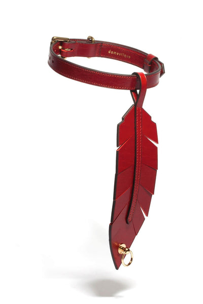 Rouge-gorge Red Feather Choker domestique